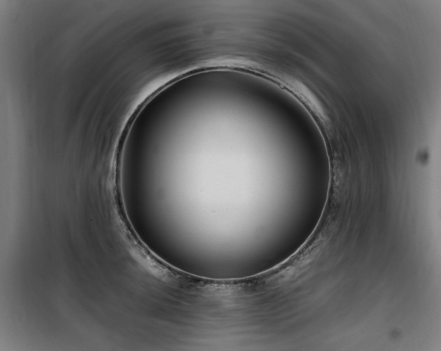 X0000100191044200805301243