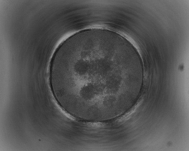 X0000100191045200805301243