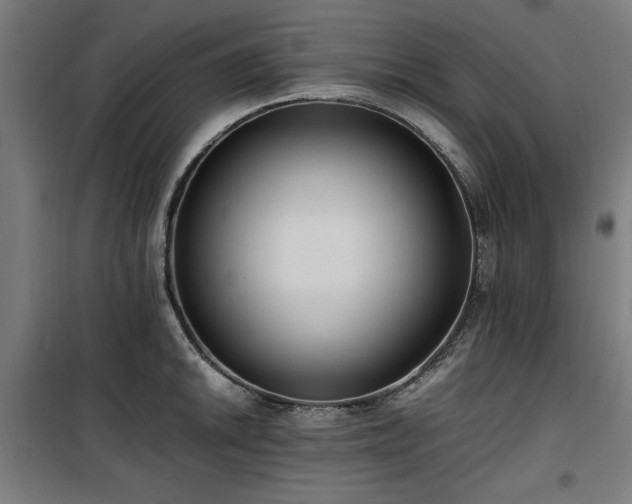 X0000100191046200805301243