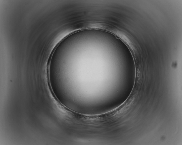 X0000100191047200805301243