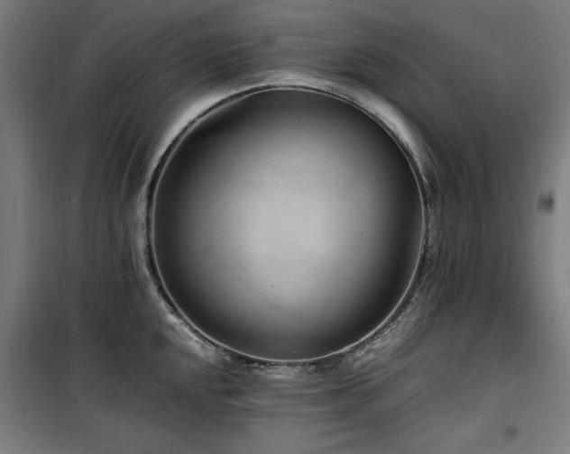 X0000100191048200805301243