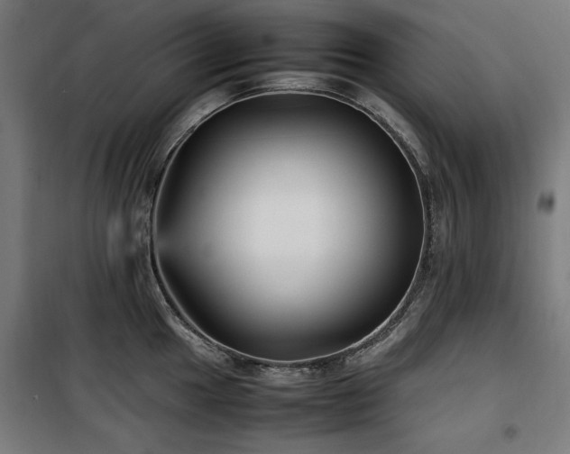 X0000100191049200805301243
