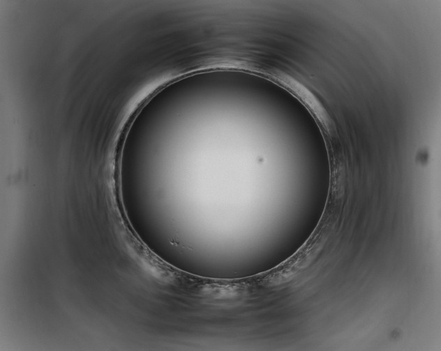 X0000100191051200805301243
