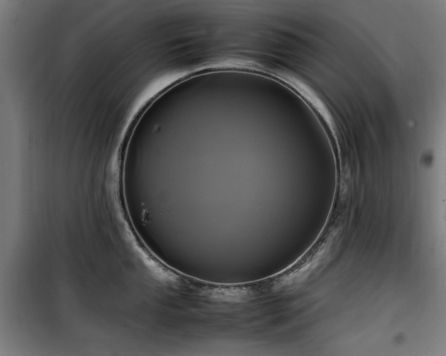 X0000100191053200805301243