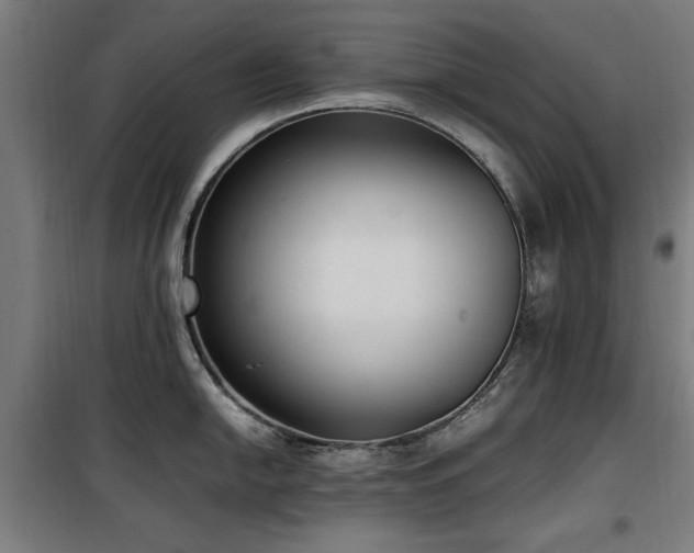 X0000100191054200805301243