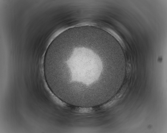 X0000100191055200805301243