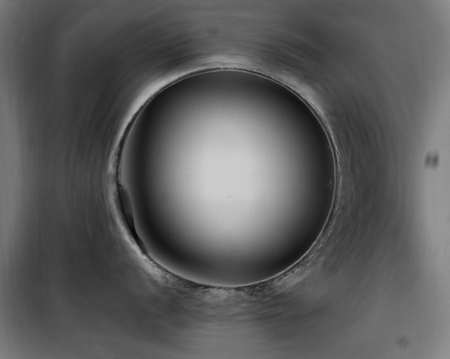 X0000100191056200805301243