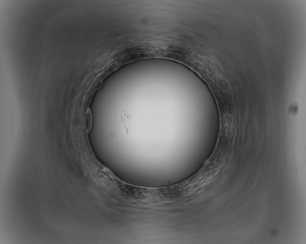 X0000100191057200805301242