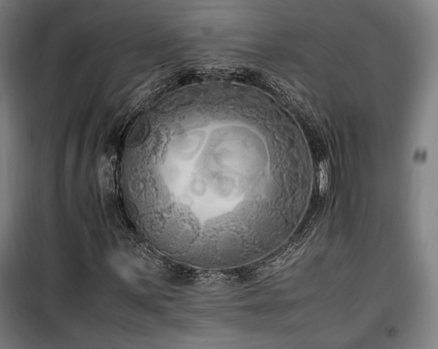 X0000100191059200805301242