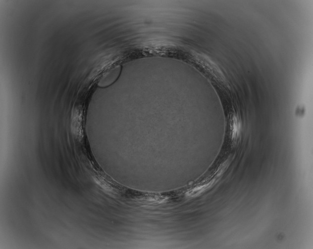 X0000100191060200805301242