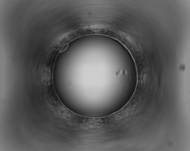 X0000100191062200805301242