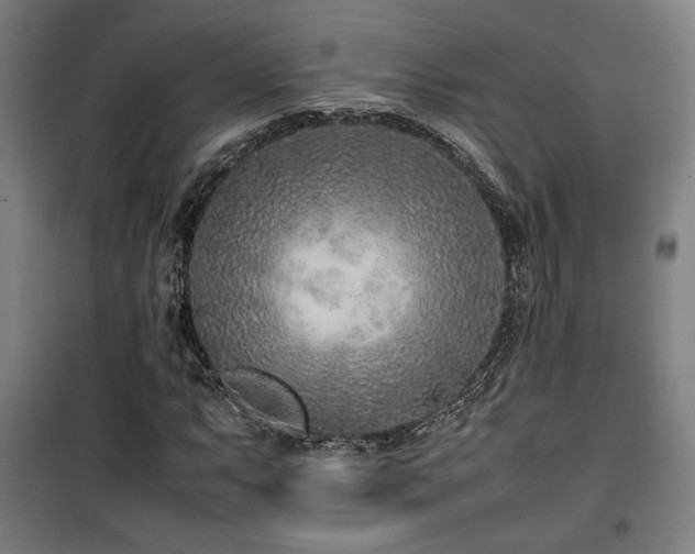 X0000100191063200805301242