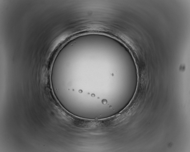 X0000100191067200805301242