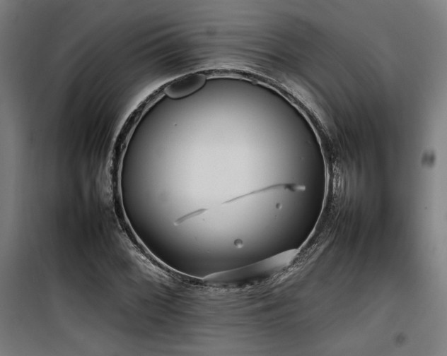 X0000100191068200805301242