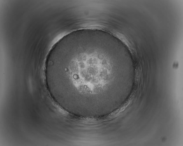 X0000100191071200805301242