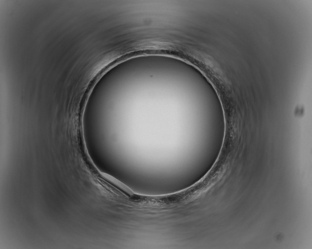 X0000100191073200805301242