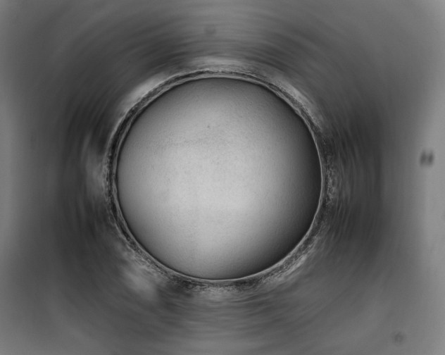 X0000100191074200805301242