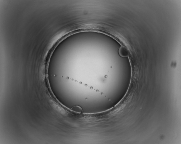 X0000100191075200805301242
