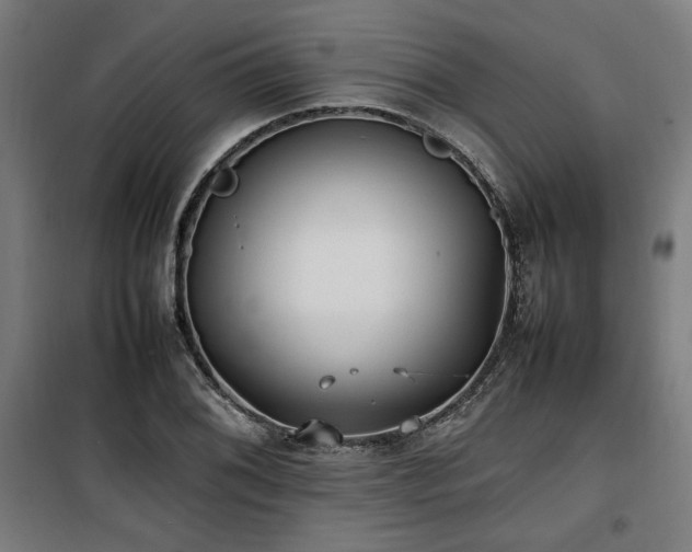 X0000100191076200805301242