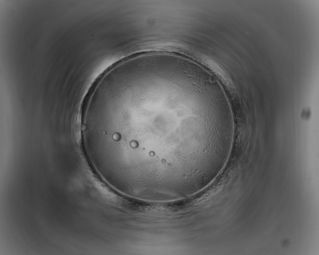X0000100191079200805301242