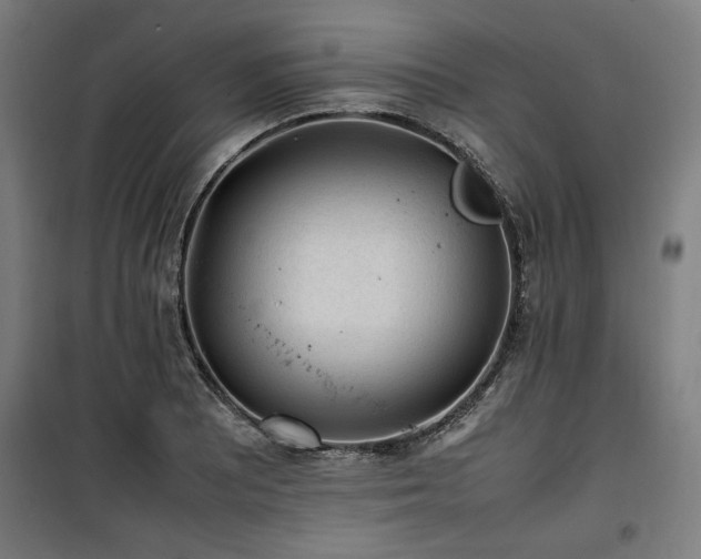 X0000100191081200805301242