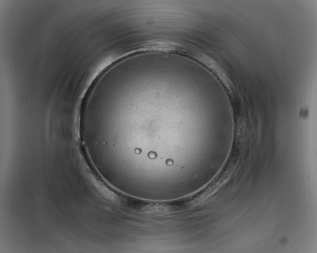 X0000100191083200805301242