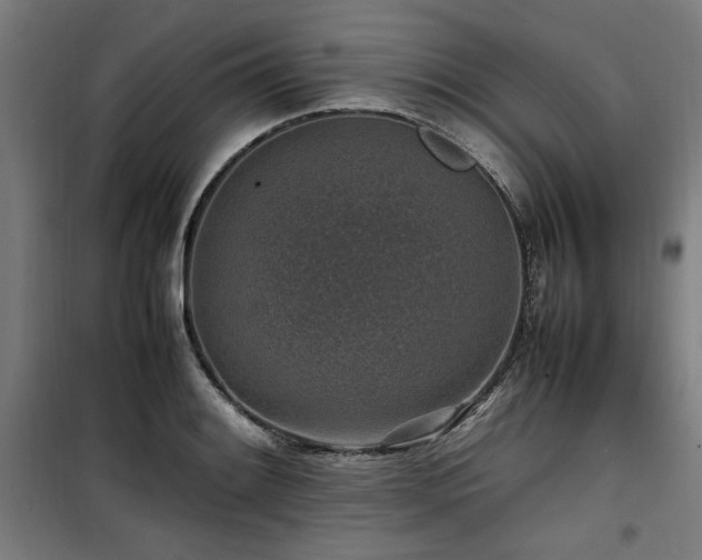 X0000100191084200805301242