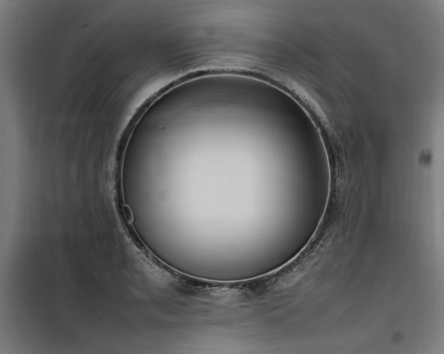X0000100191085200805301242