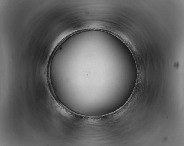 X0000100191086200805301242
