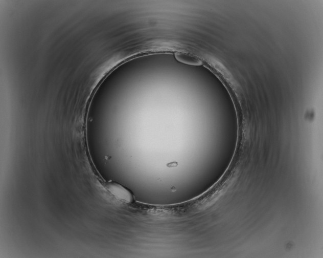 X0000100191089200805301242