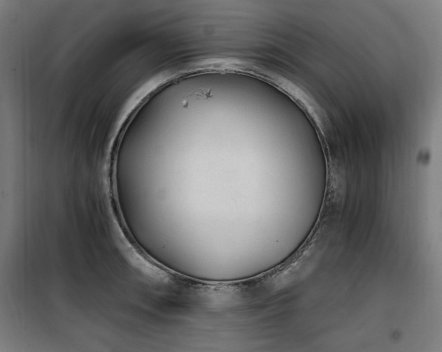 X0000100191090200805301242