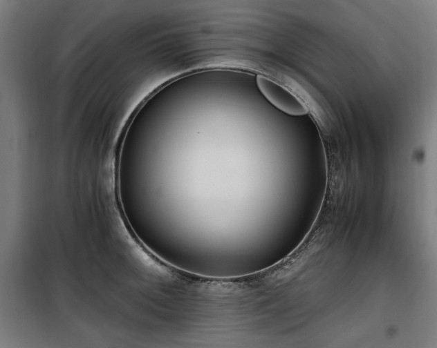 X0000100191092200805301242