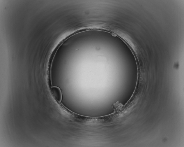 X0000100191093200805301242