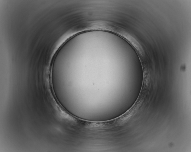 X0000100191094200805301242