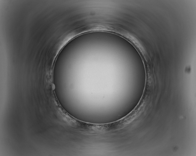 X0000100191097200805301242