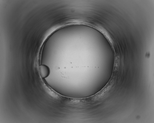 X0000100191098200805301242
