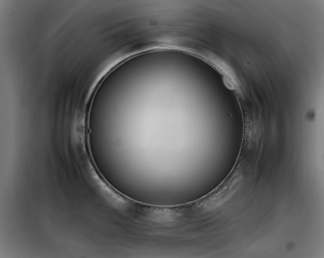 X0000100191100200805301242