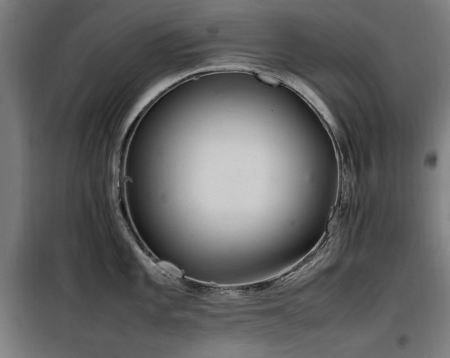 X0000100191101200805301242