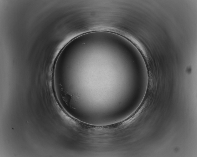 X0000100191102200805301242