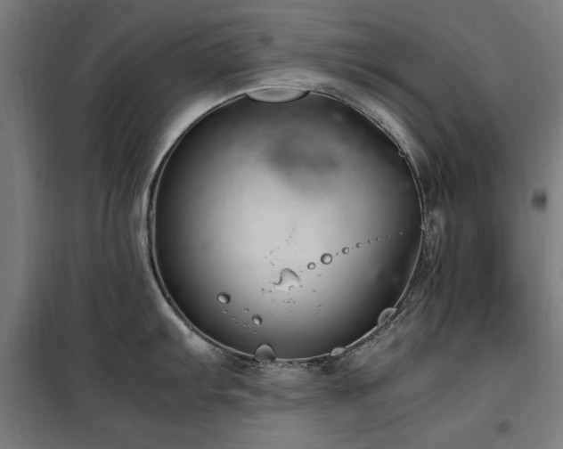 X0000100191103200805301242