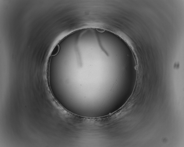 X0000100191104200805301242