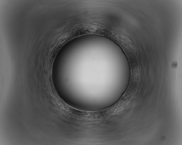 X0000100191105200805301241