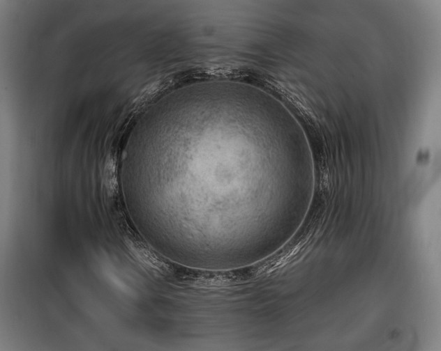 X0000100191106200805301241
