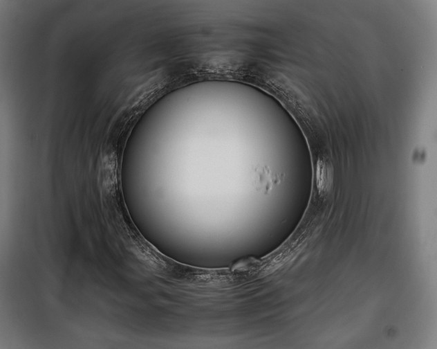 X0000100191107200805301241