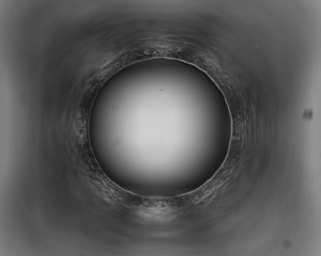 X0000100191109200805301241
