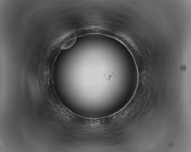 X0000100191111200805301241