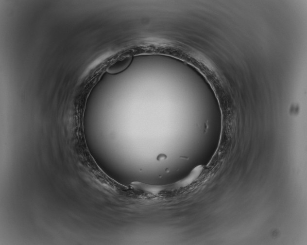 X0000100191112200805301241