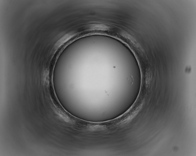 X0000100191113200805301241