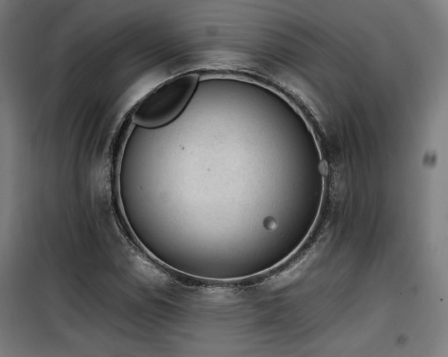 X0000100191114200805301241