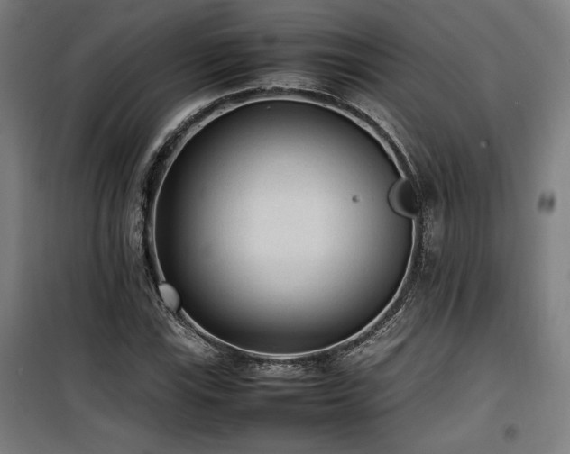 X0000100191115200805301241